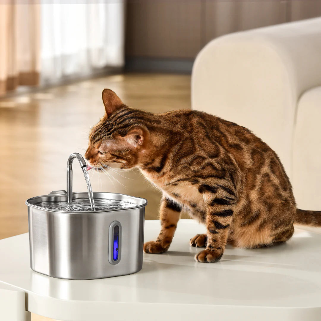 Pfotenquelle Vitalbrunnen 2.2L Wasserpumpe